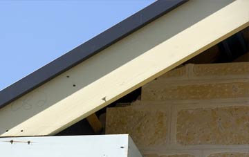 Crow fascia repairs